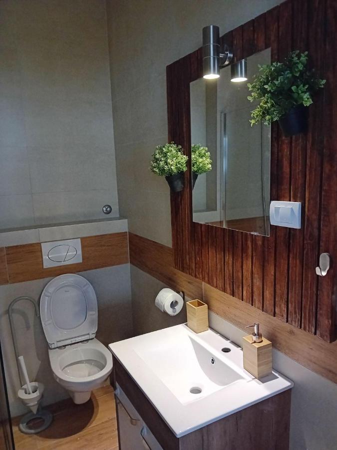 Apartman Centar Sd スメデレヴォ エクステリア 写真